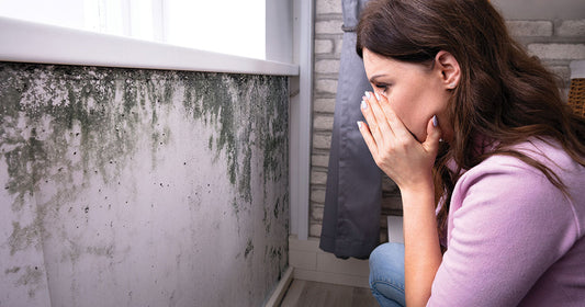 Can a Dehumidifier for Mold Effectively Control Mold and Odors?