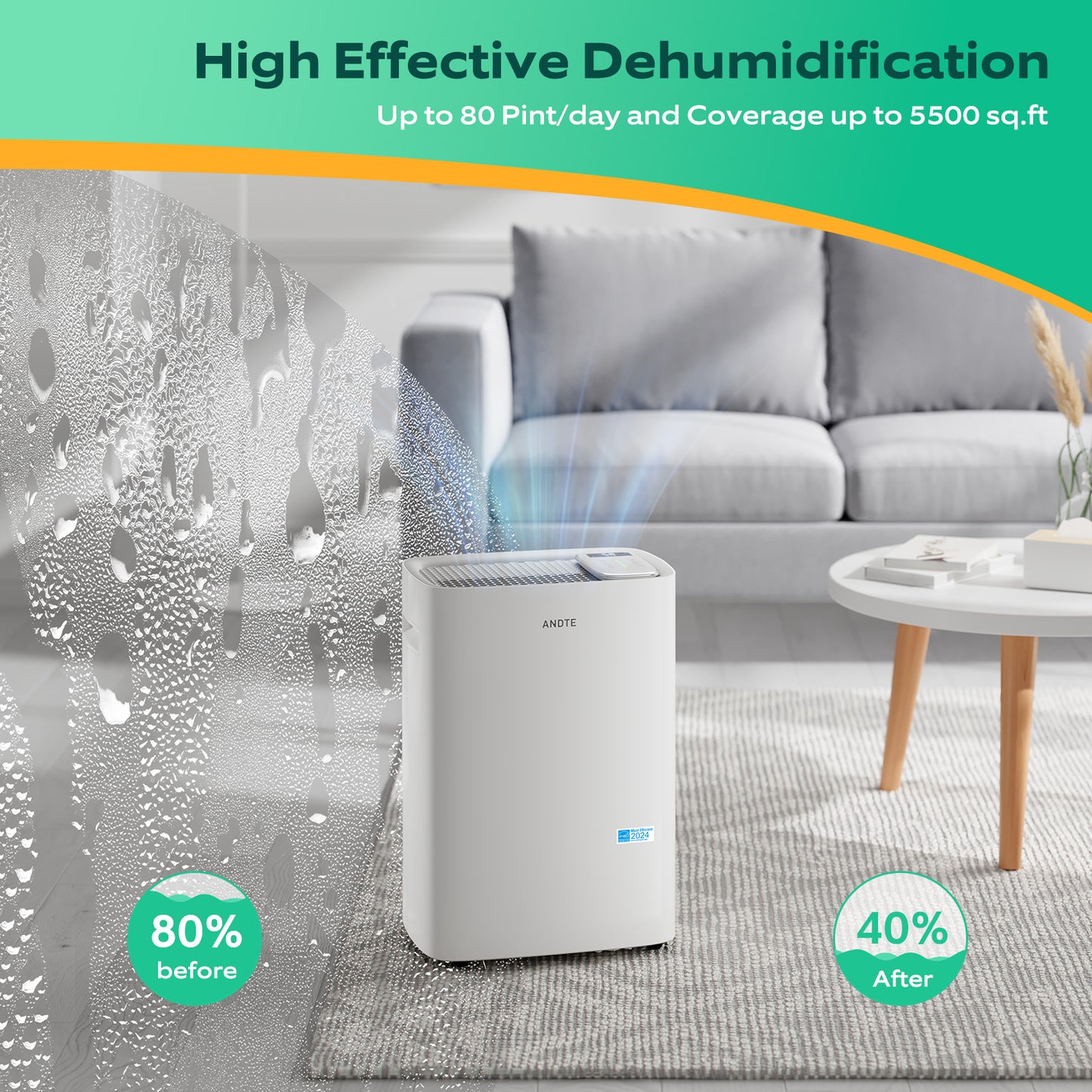 80 Pints Energy Star Home Dehumidifier capacity