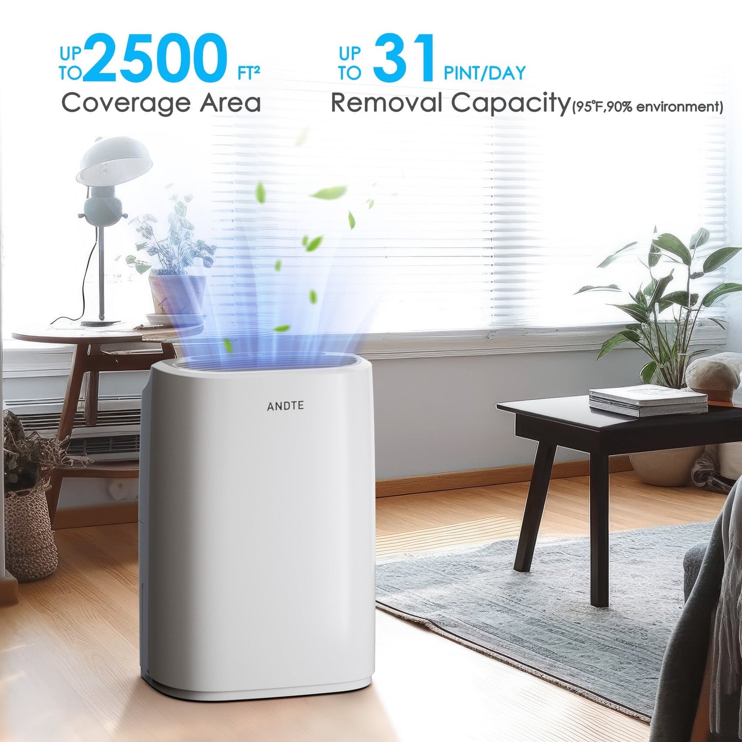 ANDTE PD161A home dehumidifier removal capaity