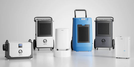 Necessity of Using a Dehumidifier