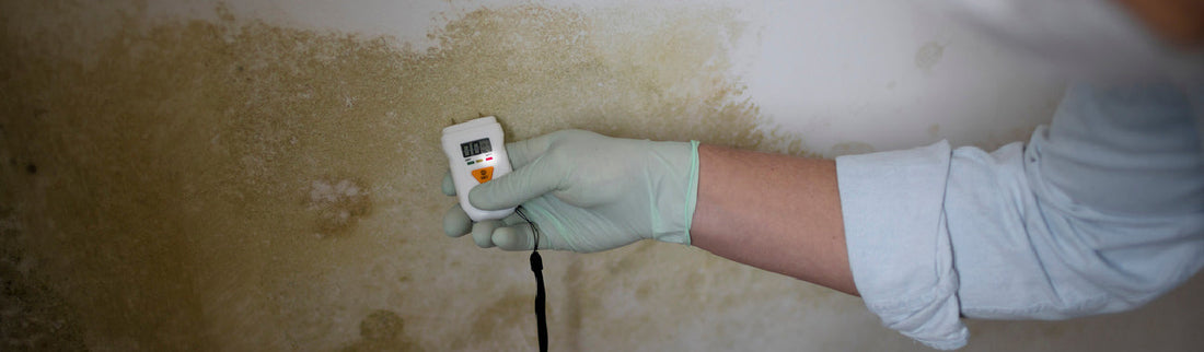 How to control humidity in basement?