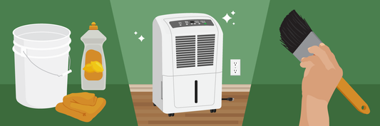 How to clean and maintain a dehumidifier?