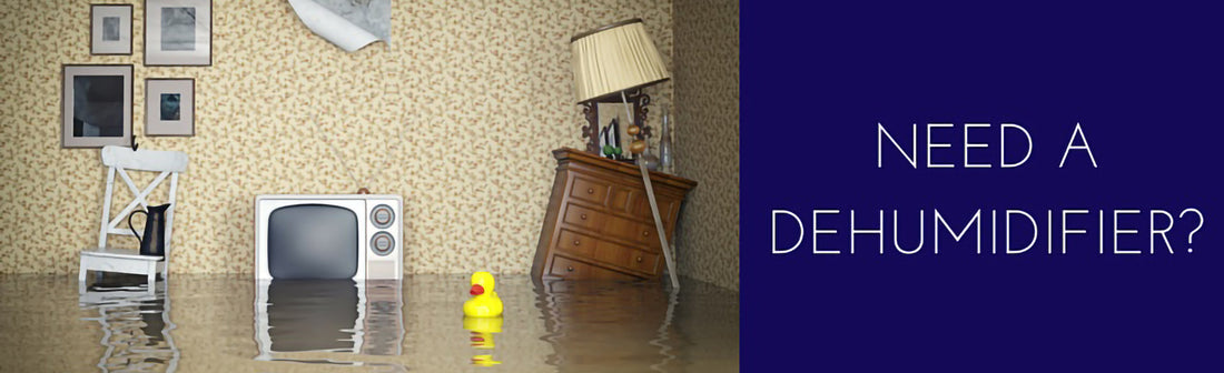 3 Smart Places to Use a Dehumidifier