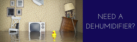 3 Smart Places to Use a Dehumidifier
