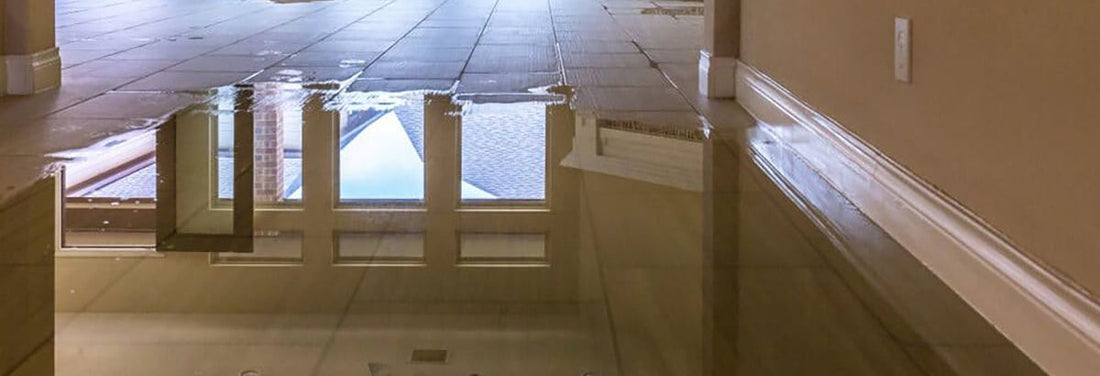 How Dehumidifiers Can Save The Day After Water Damage