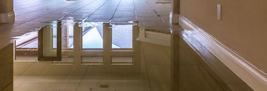 How Dehumidifiers Can Save The Day After Water Damage