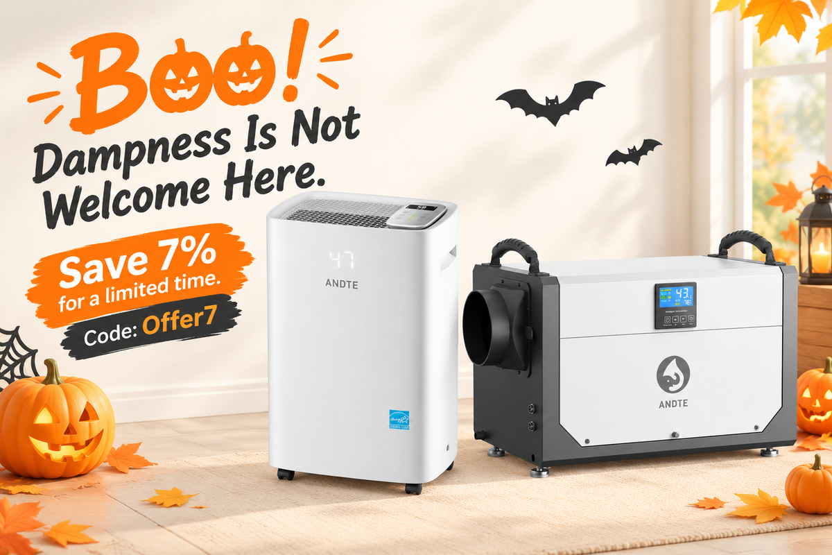 🎃 Halloween Flash Sale