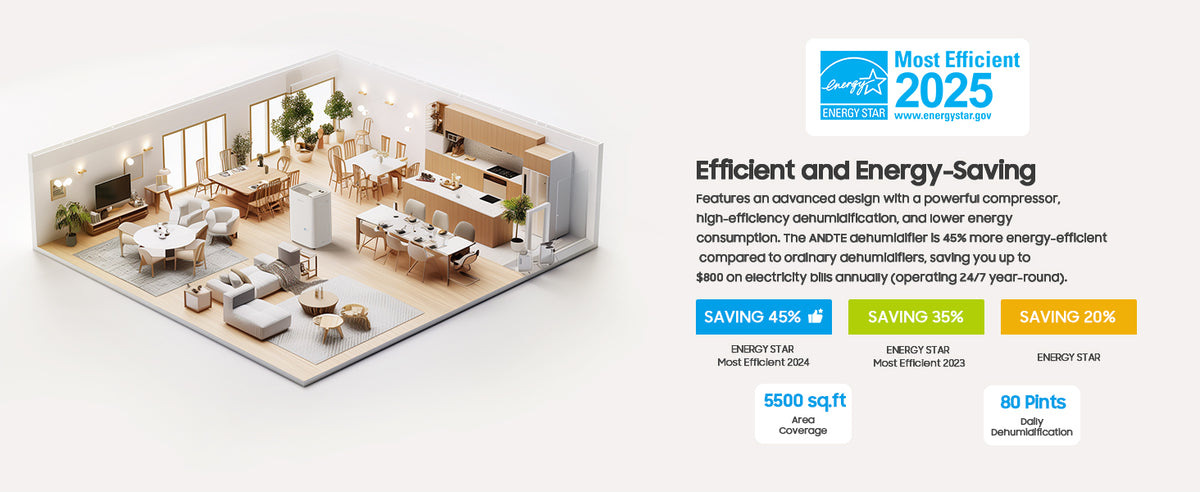 80 Pints Energy Star Home Dehumidifier, 5500 Sq.Ft Dehumidifier for Basement and Home, Large Room Dehumidifiers with Drain Hose & Water Tank, 24H Timer, Auto Defrost, Dry Clothes