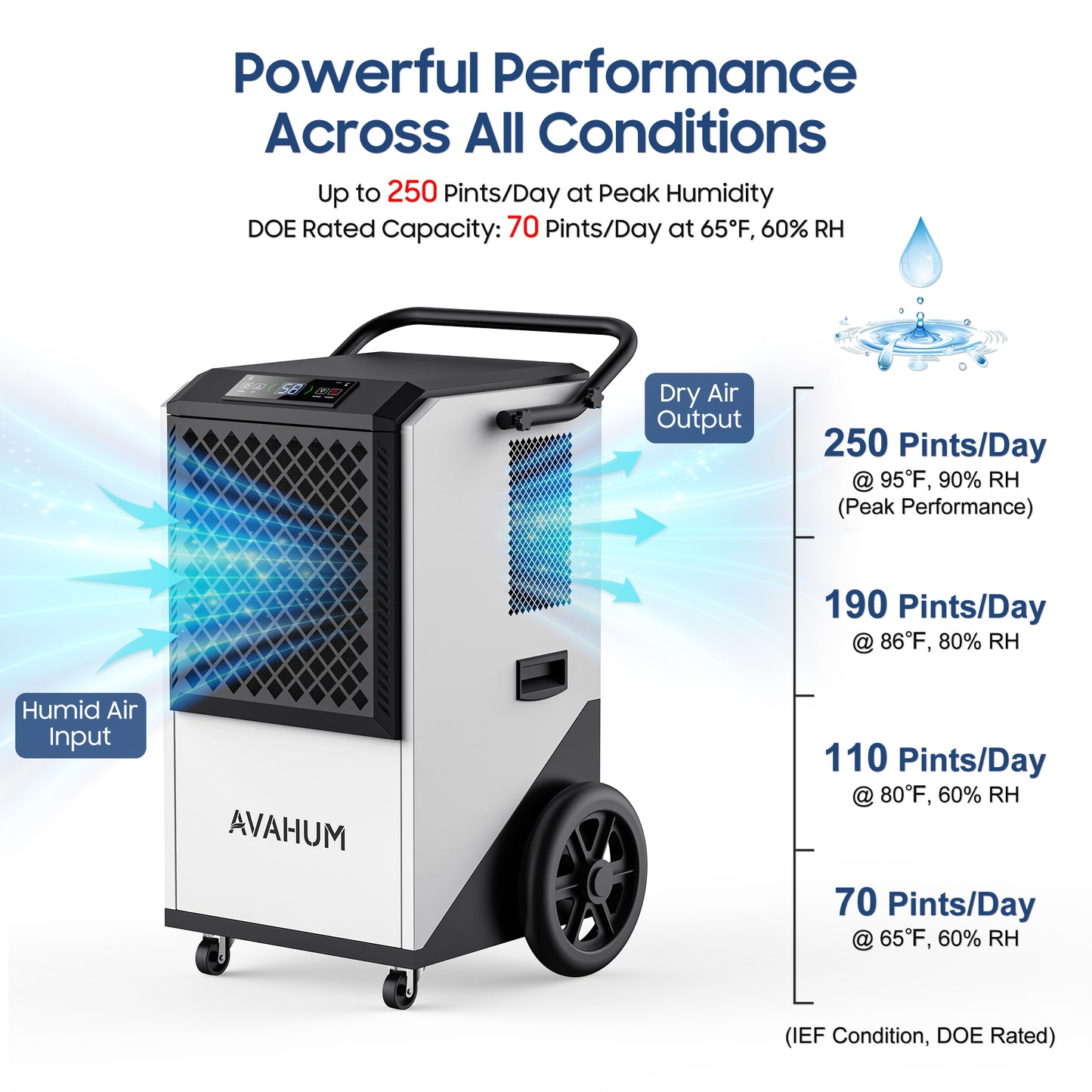 AVAHUM 250 Pints Commercial Dehumidifier with Drain Hose, Dehumidifier for Basement, 1-Year Warranty