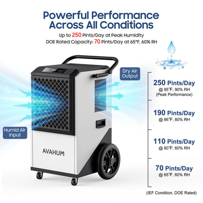 AVAHUM 250 Pints Commercial Dehumidifier with Pump, Industrial Dehumidifier for Basements, Garages, and Flood Restoration