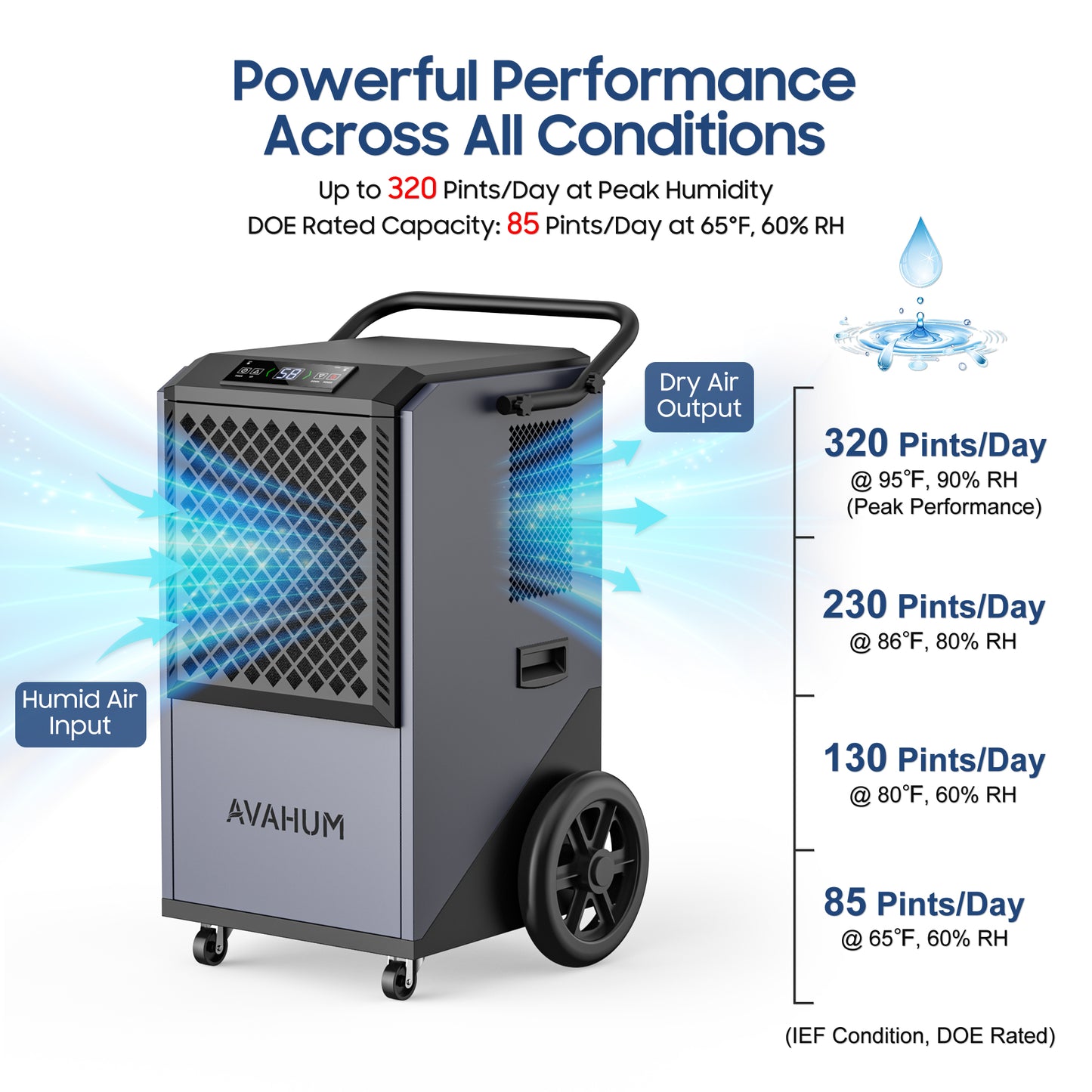 AVAHUM 320 Pints Commercial Dehumidifier with Drain Hose for Basements, Coverage Area 9000 Sq.ft