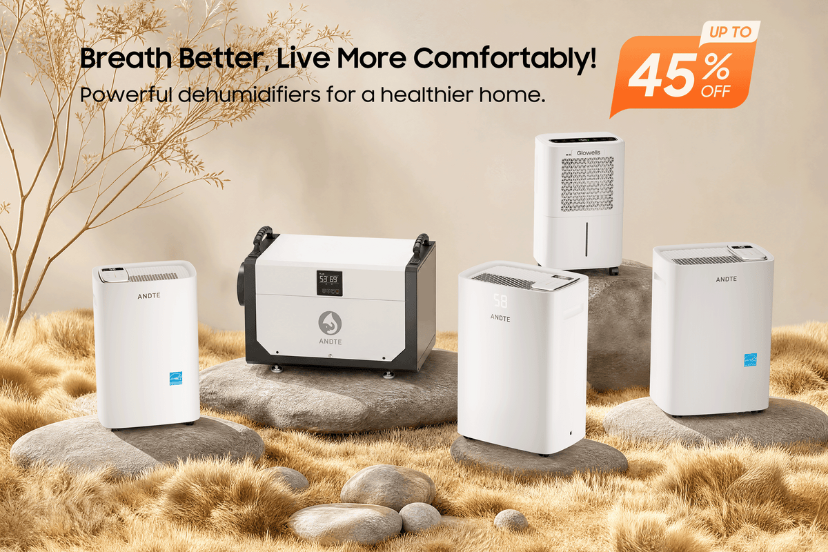 Say Goodbye to Humidity!💦