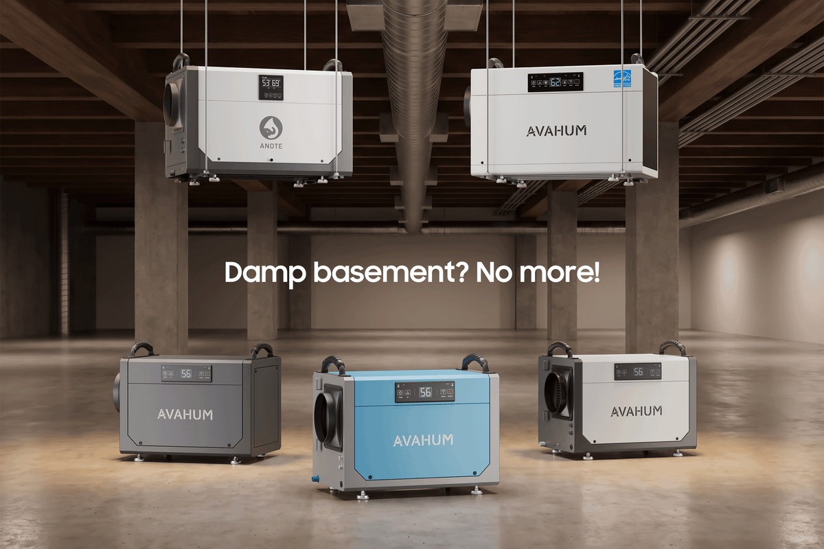 Professional Basement Moisture Control !🏡