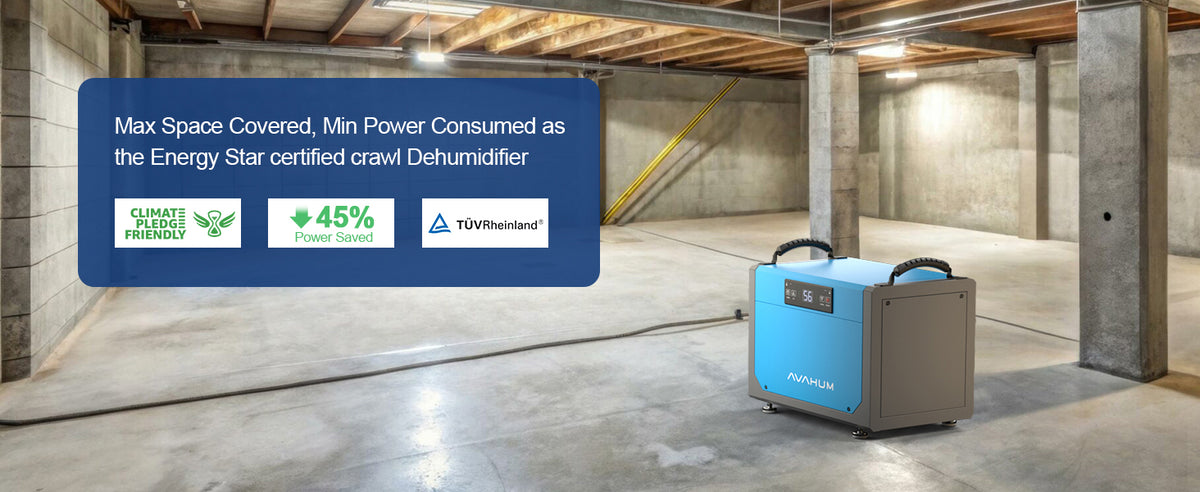 AVAHUM 113 Pints Crawl Space Dehumidifier for Basements, Commercial Dehumidifier with Drainage Hose, Coverage Area 3300 Sq.ft