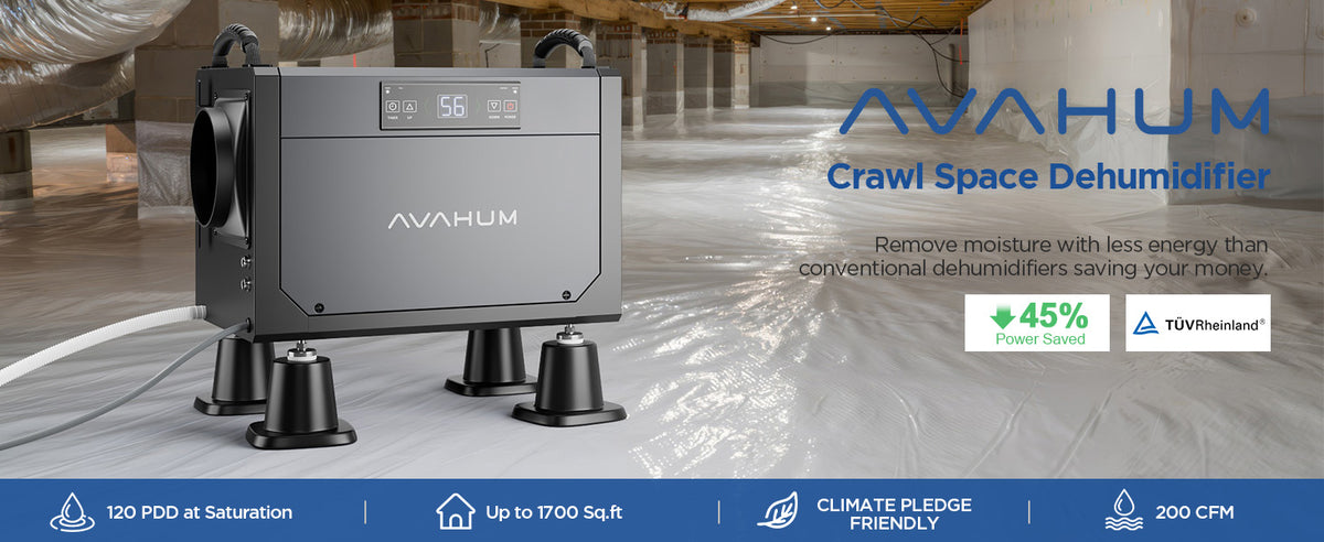 AVAHUM 120 Pints Crawl Space Dehumidifier for Basement, Commercial Dehumidifier with Drainage Hose, Coverage Area 3500 Sq.ft