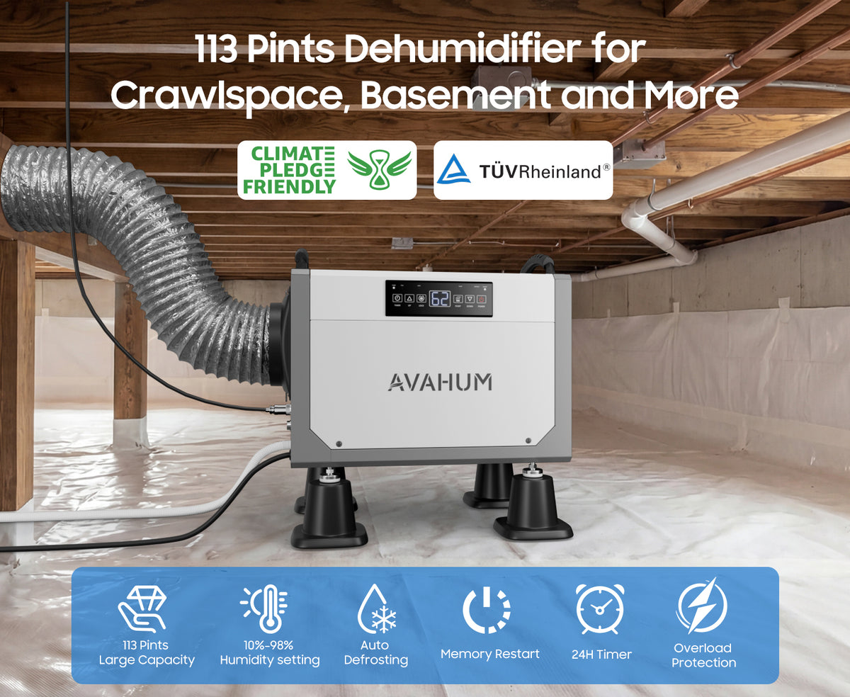 AVAHUM 113 Pints Crawl Space Dehumidifier with Pump, Commercial Dehumidifier with Drainage Hose, Coverage Area 3500 Sq.ft