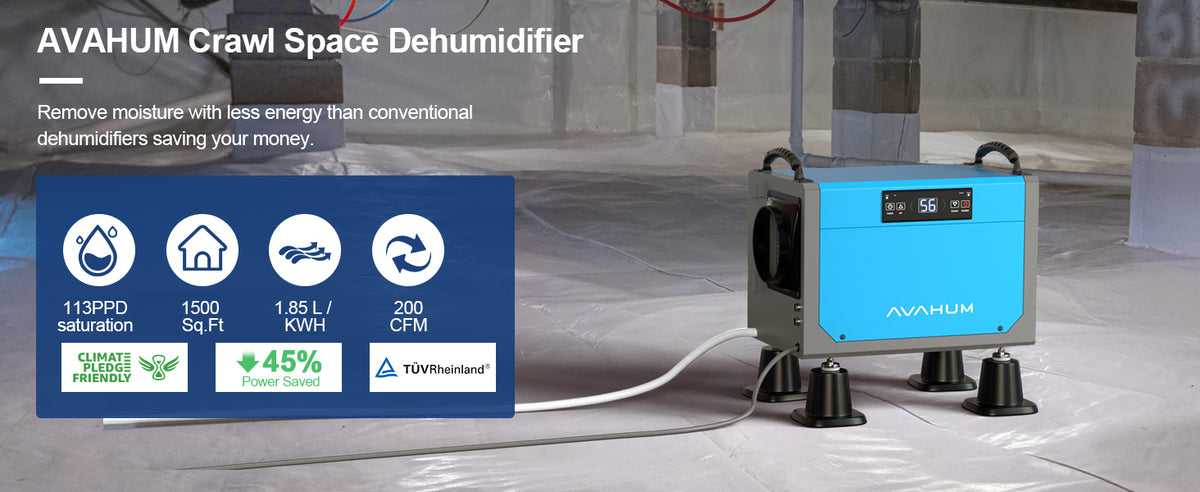 AVAHUM 113 Pints Crawl Space Dehumidifier for Basements, Commercial Dehumidifier with Drainage Hose, Coverage Area 3300 Sq.ft