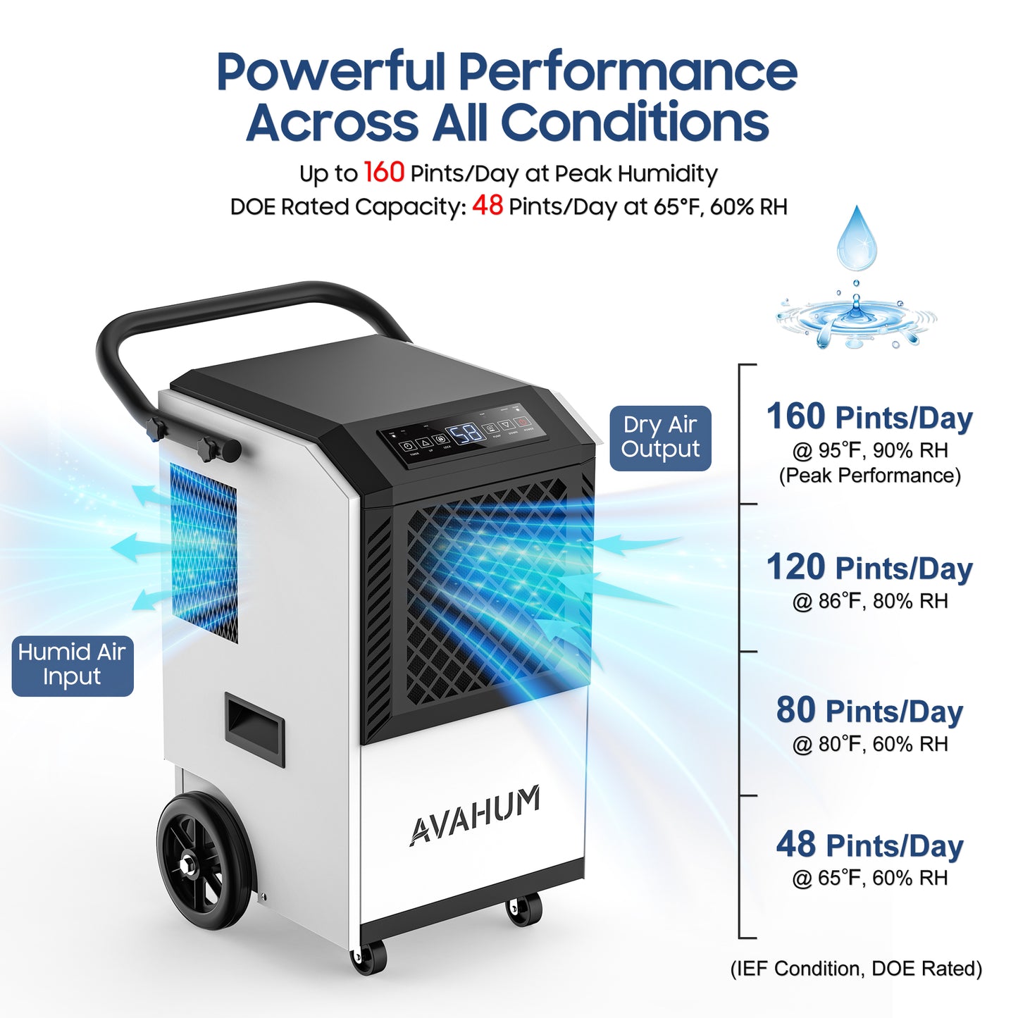 AVAHUM 160 Pints Commercial Dehumidifier with Pump, Drain Hose and Washable Filter Space up to 7500 Sq. Ft, for Basements, Industrial or Commercial Spaces - 1 Year Quality Coverage