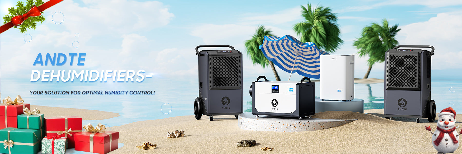 ANDTE dehumidifiers for home, crawl space and industrial space