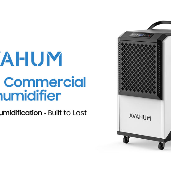 AVAHUM Dehumidifier AM260 Video